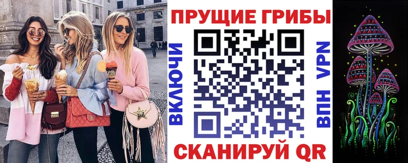 Галлюциногенные грибы Psilocybine cubensis  где купить наркоту  Константиновск 